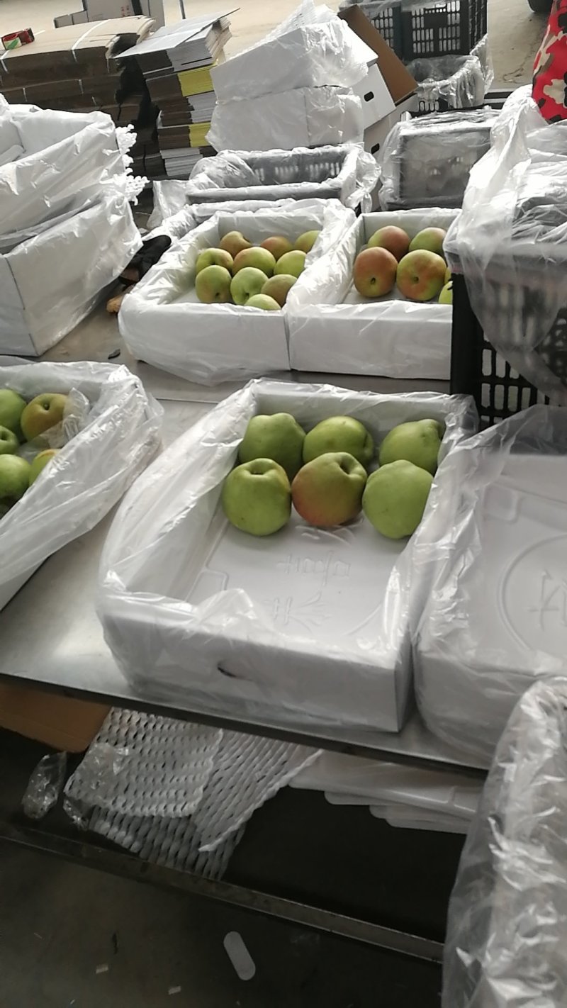 玉露香梨🍐口感脆甜可口汁多肉细嫩