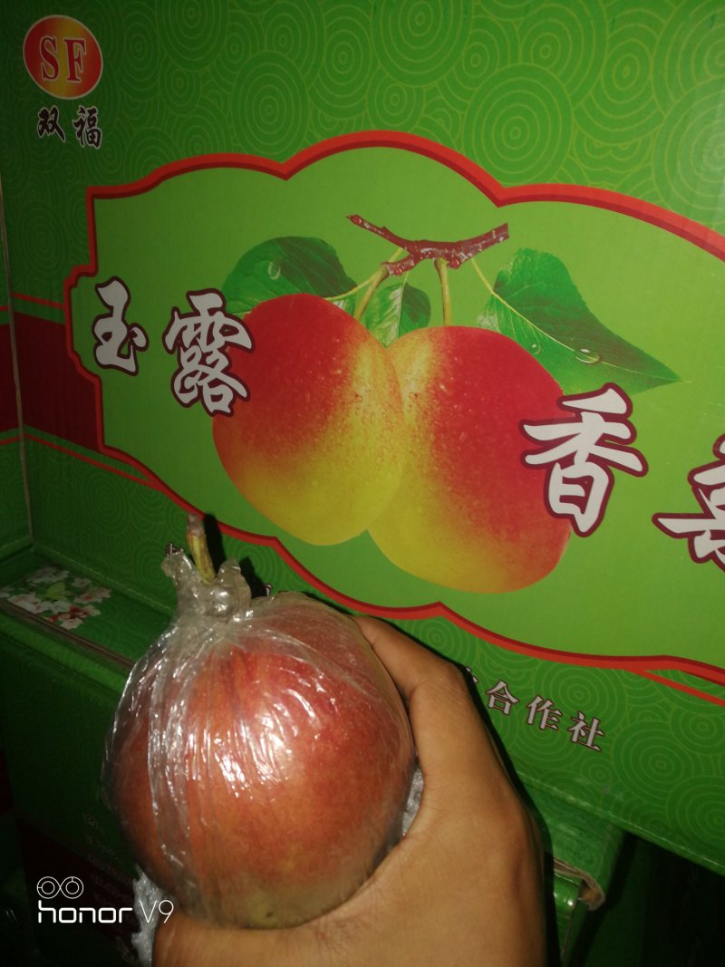 玉露香梨🍐口感脆甜可口汁多肉细嫩