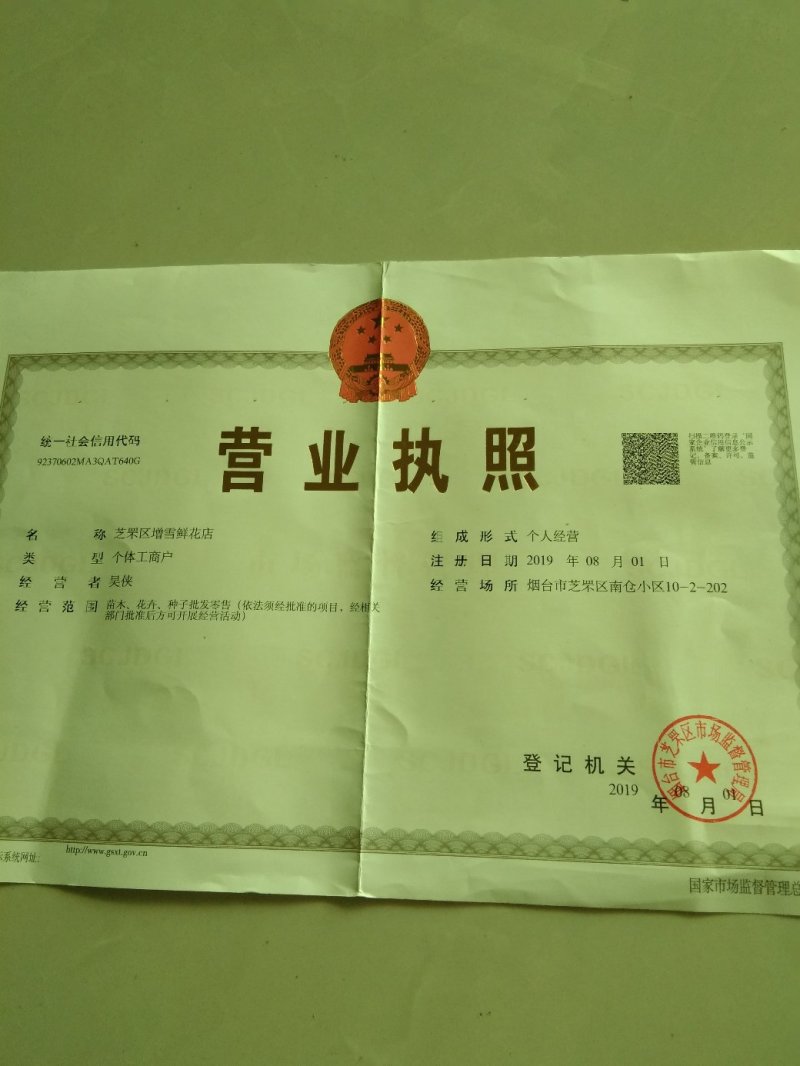 山楂树苗嫁接大金星甜红子棉球南方北方种植盆栽地栽当年结果