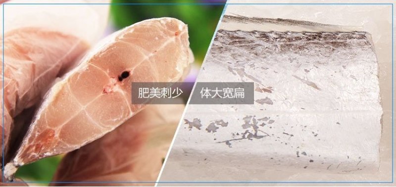 带鱼带鱼段福建本地产鲜嫩美味400克/袋