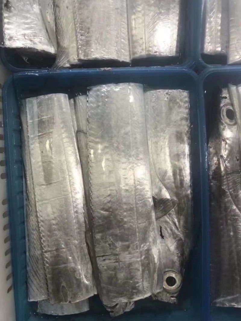 带鱼带鱼段福建本地产鲜嫩美味400克/袋