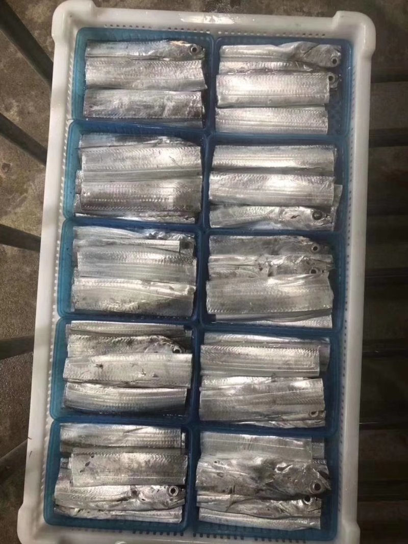 带鱼带鱼段福建本地产鲜嫩美味400克/袋