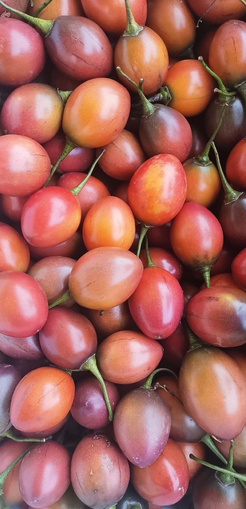 树番茄，佤乡沧源基地直供。全年有货，酸甜可口。