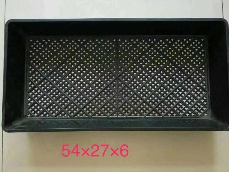 【一次性高品质育苗盘】穴盘，种植盘，穴盘芽菜托