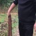 广西白淮山药种苗，品种优良，产量高，提供种植技术指导