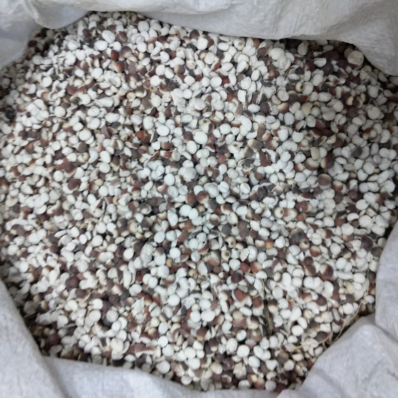振兴药材批发供应两半芡实米规格齐全量大从优