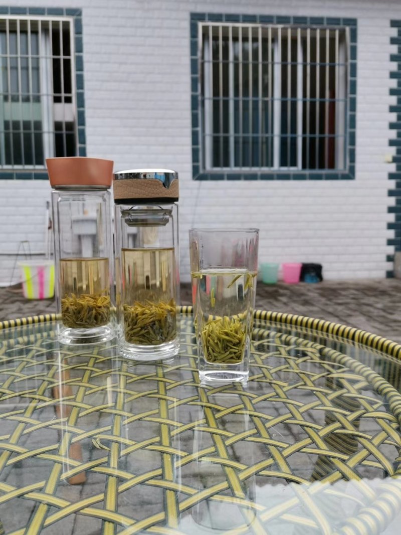 新茶碧螺春