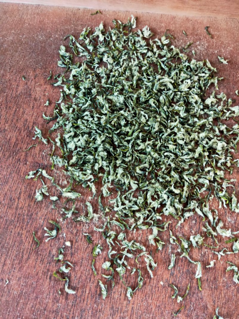 新茶碧螺春