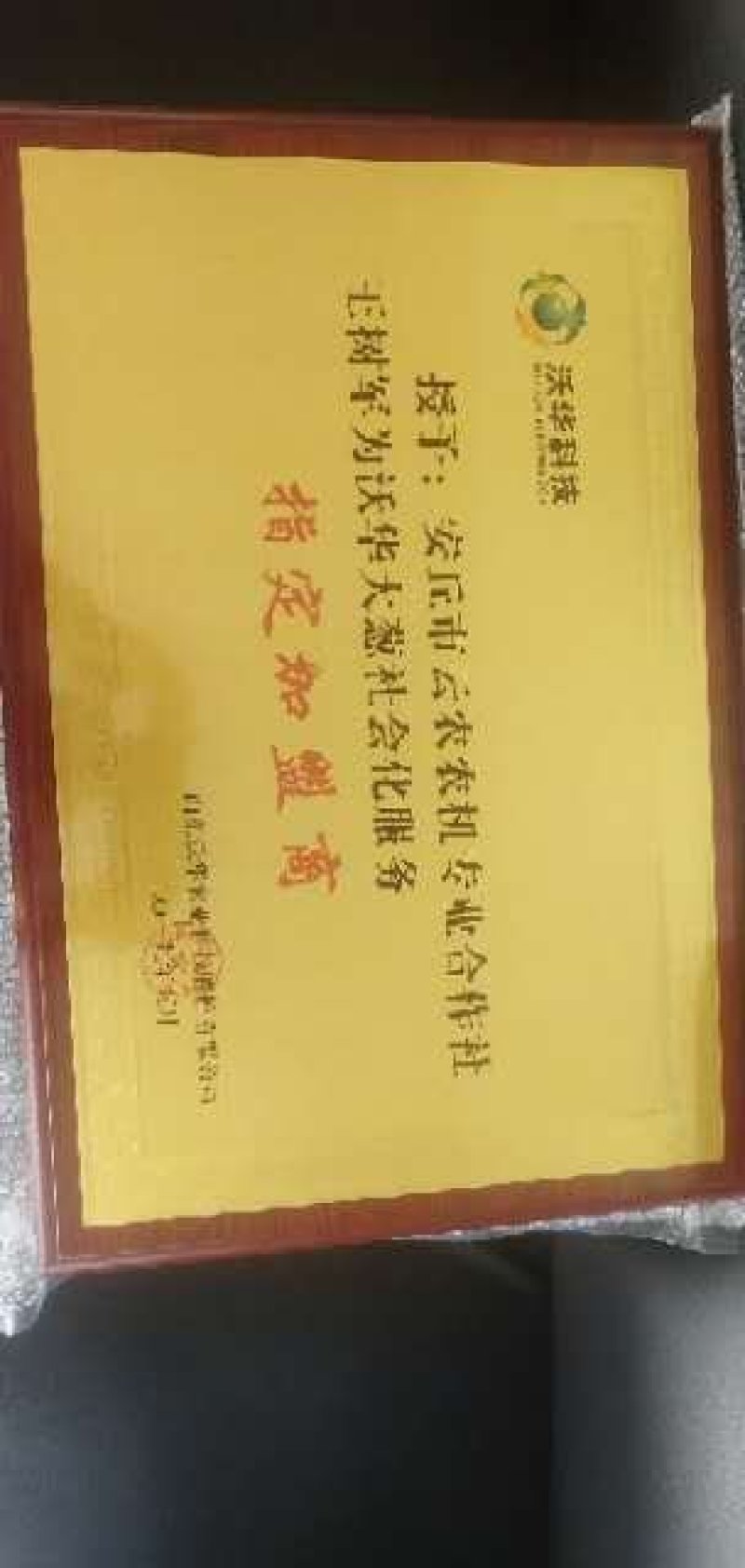 葱苗，山东潍坊旭峰大葱育苗合作社，代育葱苗，