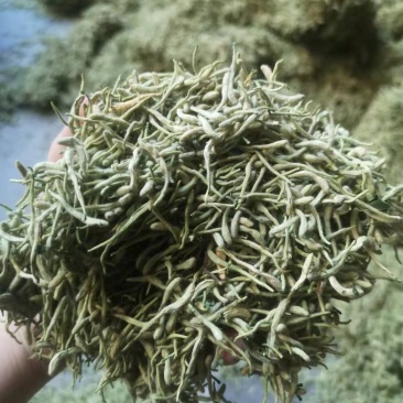 金银花一手货源批发零售价格便宜