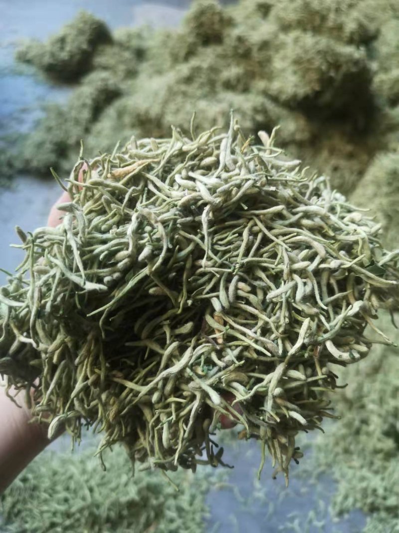 金银花一手货源批发零售价格便宜
