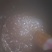 纯手工阿胶糕