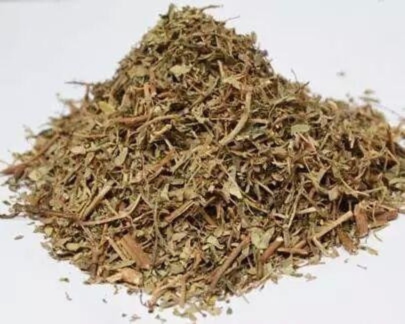珍珠草，中药材常年批发一公斤包邮量大从优