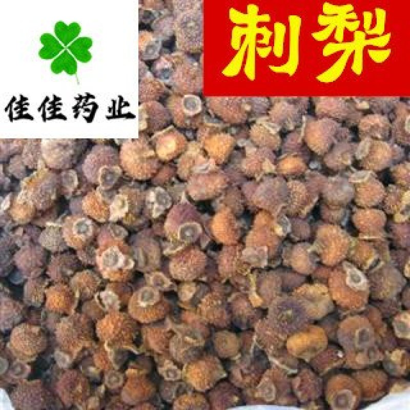 刺梨纯干货选货一公斤起批