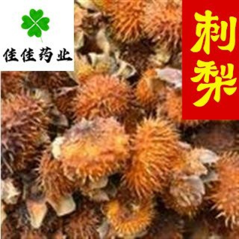 刺梨纯干货选货一公斤起批