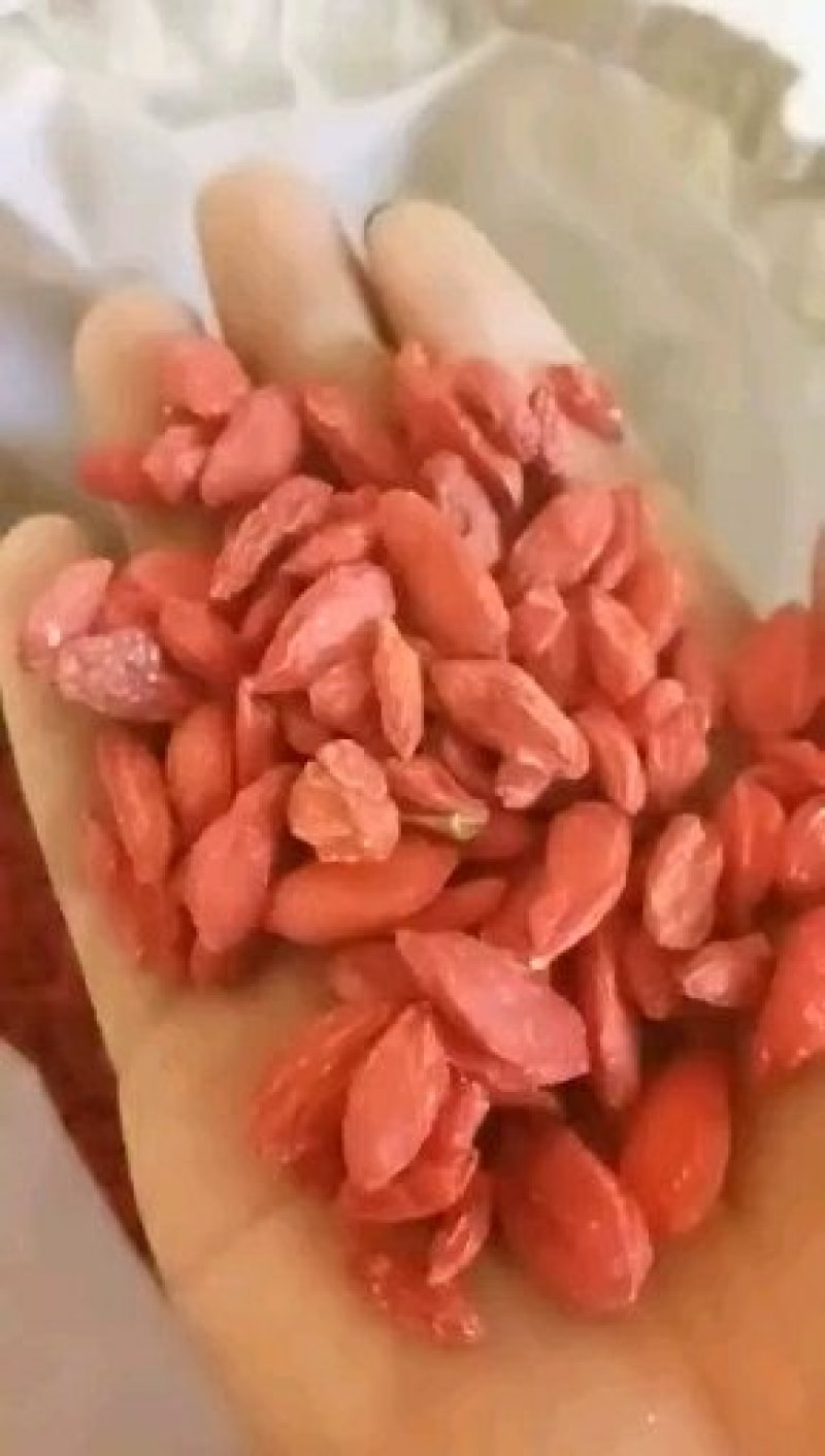 正宗青海柴达木红枸杞大量供应货源充足/保质保量/全国发货