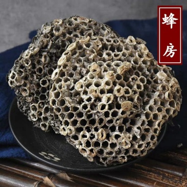 蜂房露蜂房马蜂窝蜂巢野蜂窝大黄蜂窝整个露蜂