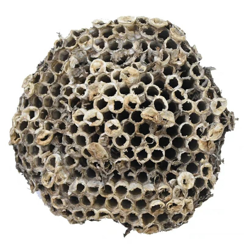 蜂房露蜂房马蜂窝蜂巢野蜂窝大黄蜂窝整个露蜂