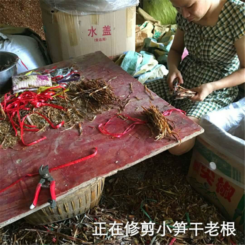 干笋水煮淡笋干、深山野生小笋干，零添加