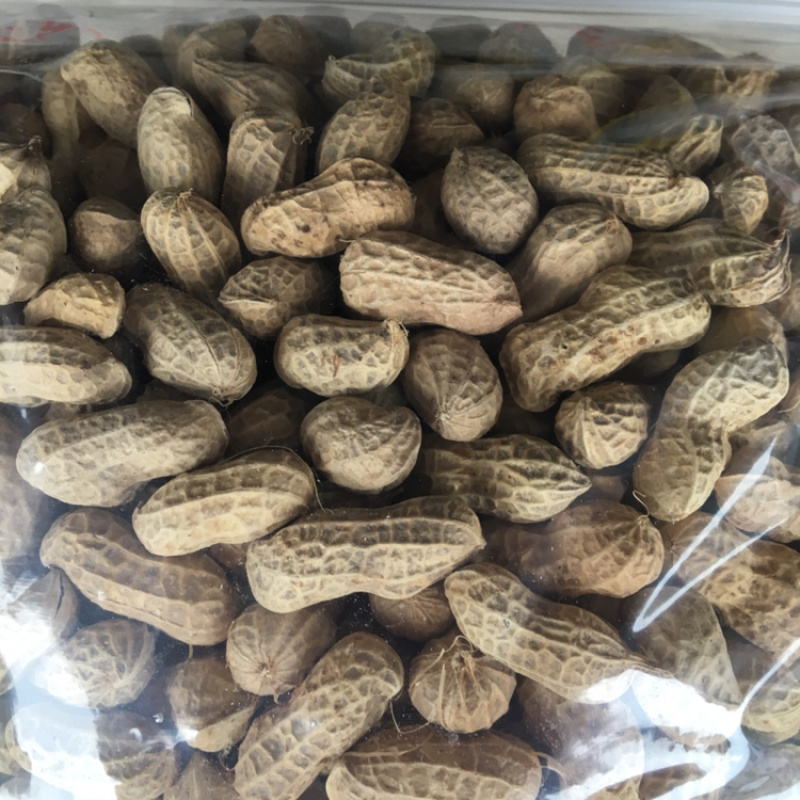 白沙系列干货带壳，手工挑选，壳薄仁大