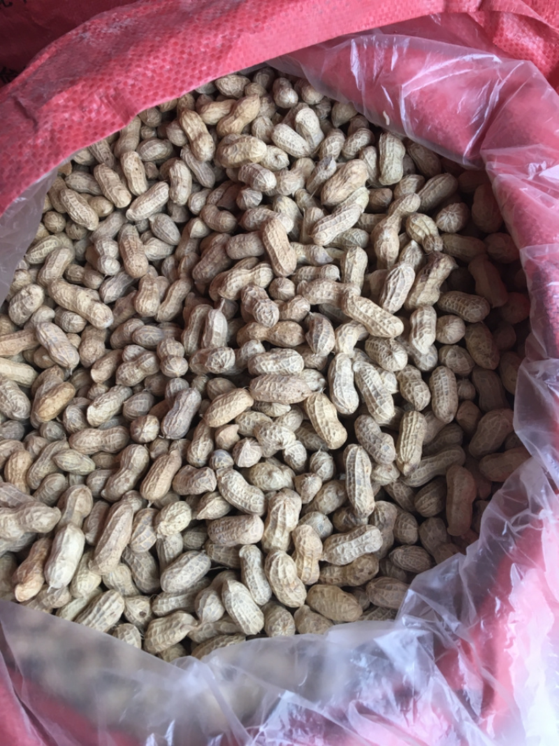 白沙系列干货带壳，手工挑选，壳薄仁大