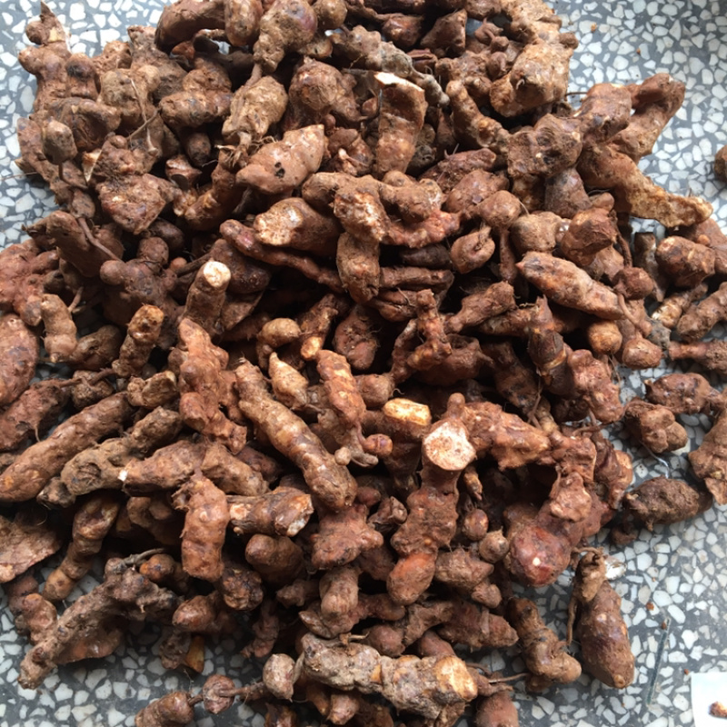 土茯苓，新鲜野生黄泥土茯苓、