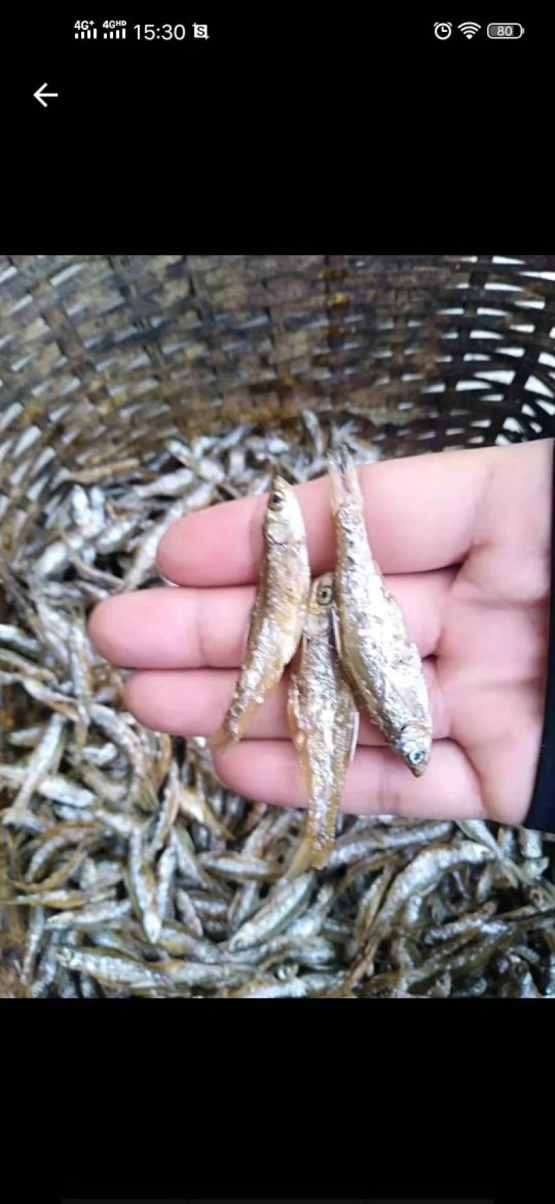 油炸不开肚白肖鱼油炸小白肖