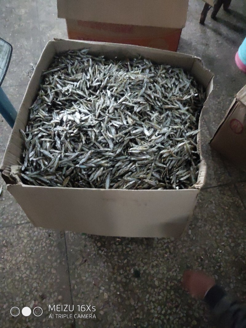 油炸不开肚白肖鱼油炸小白肖