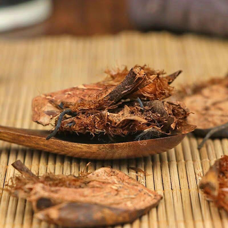 中药材贯众绵马鳞毛蕨贯节贯渠管仲