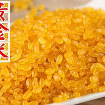 东北黄金米玉米黄金米五谷杂粮营养米（5斤1袋包邮）