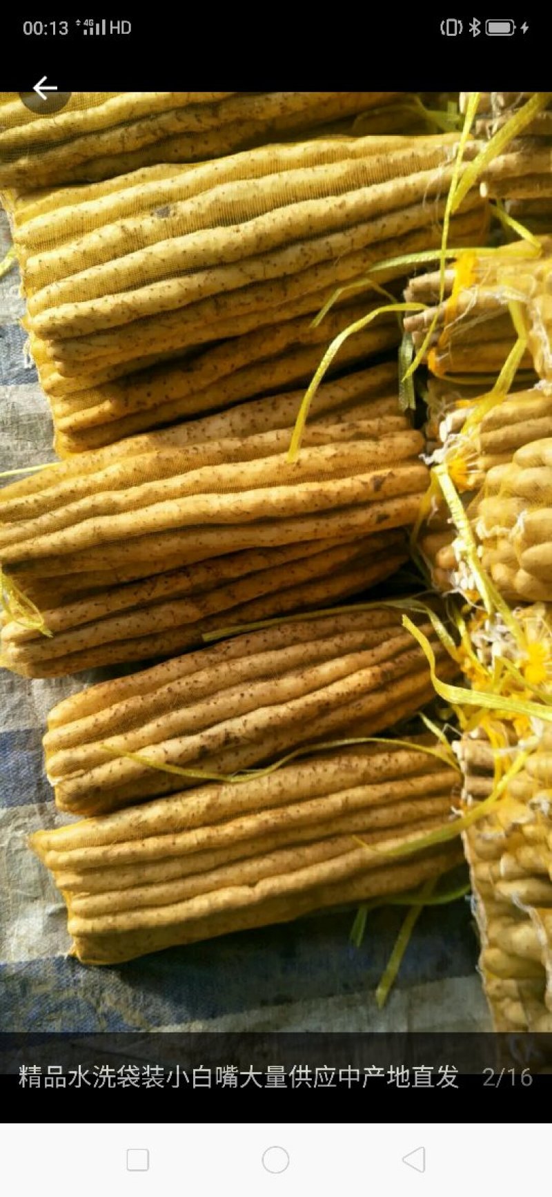 批发零售小白嘴山药