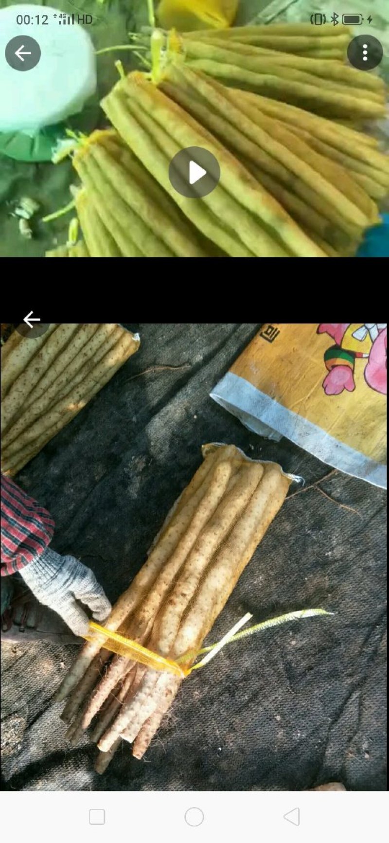 批发零售小白嘴山药