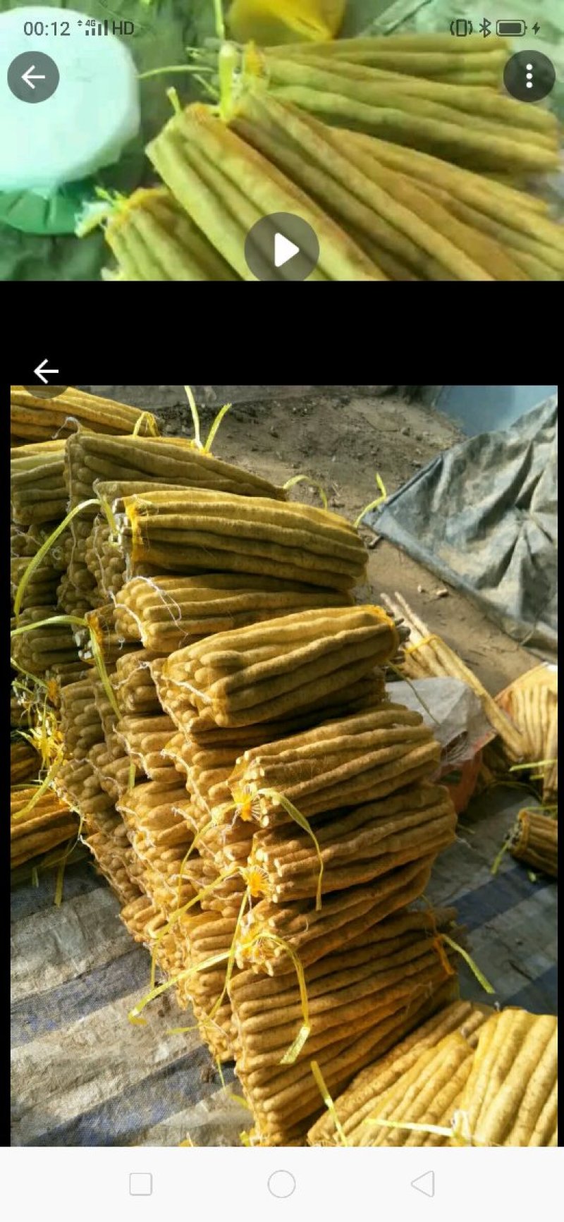批发零售小白嘴山药