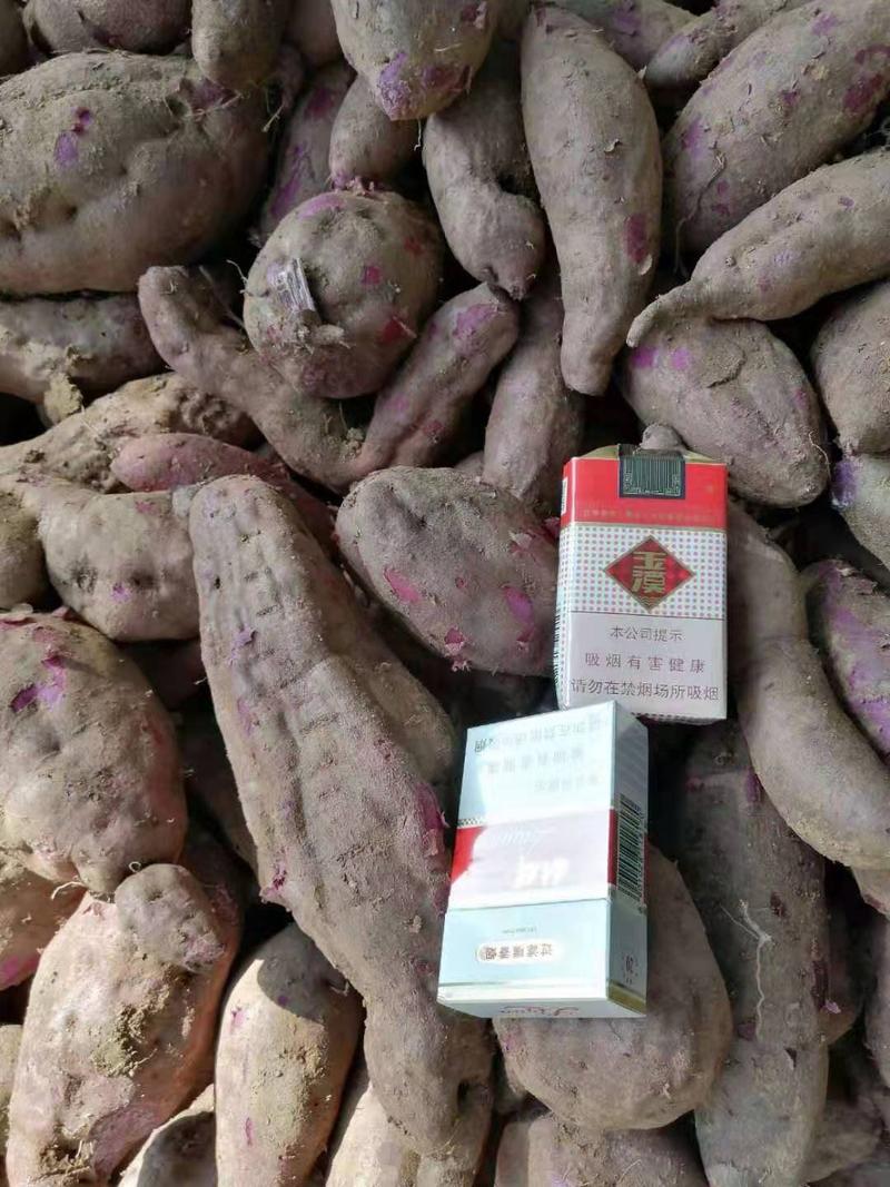 紫薯，质量保障。欢迎定货。500亩加工厂货刚上市。