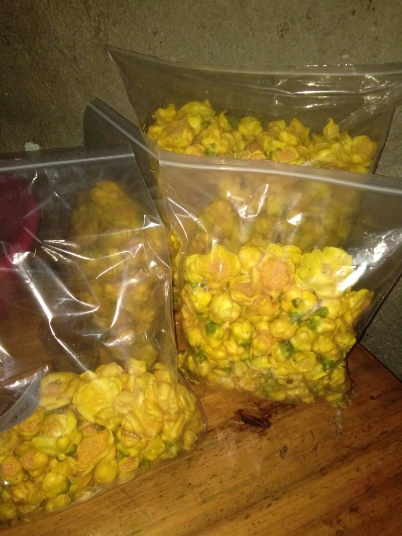 金花茶，自产广西防城港金花茶半野生