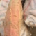 大量供应脱毒红薯种薯种苗全国发货保质保量一次合作终生朋友