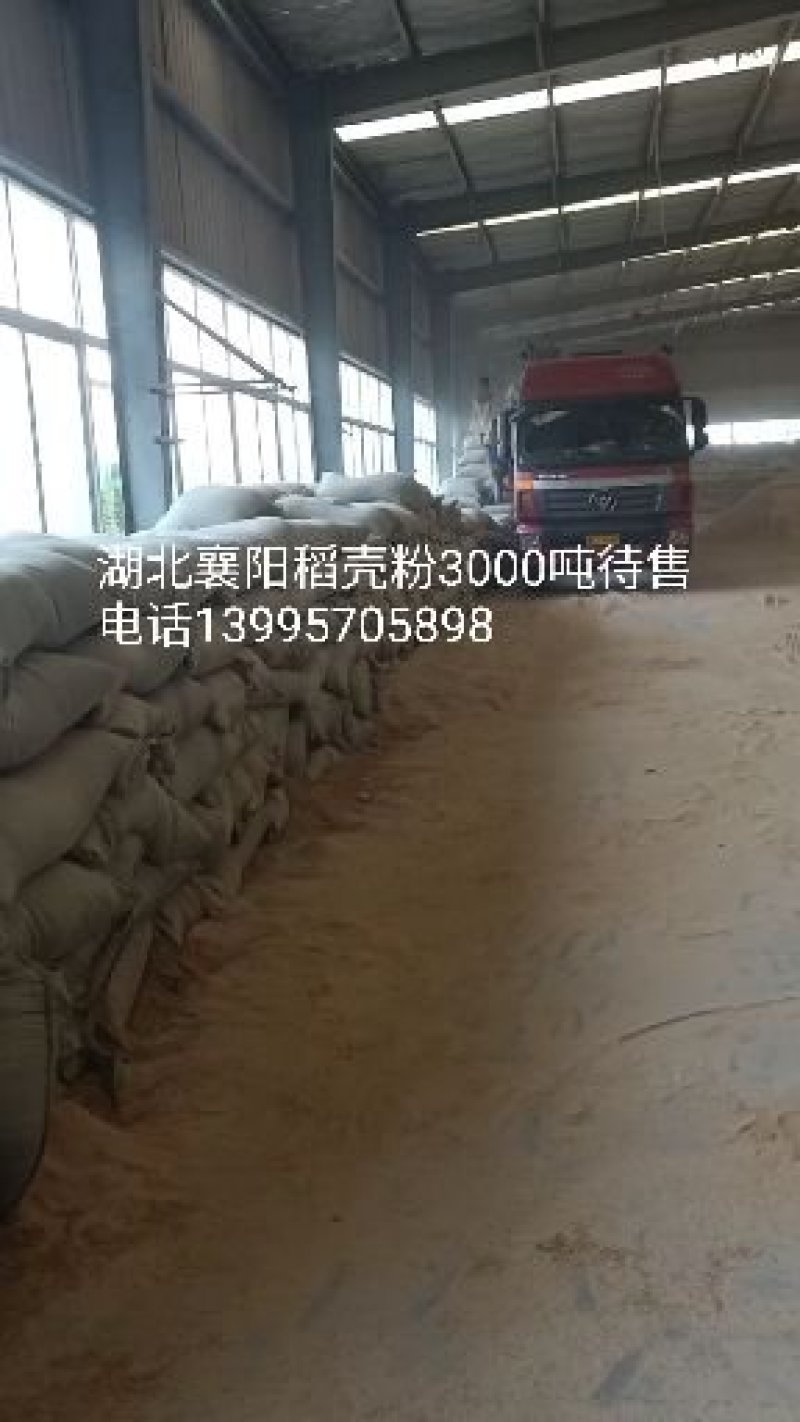 大量出售稻壳粉