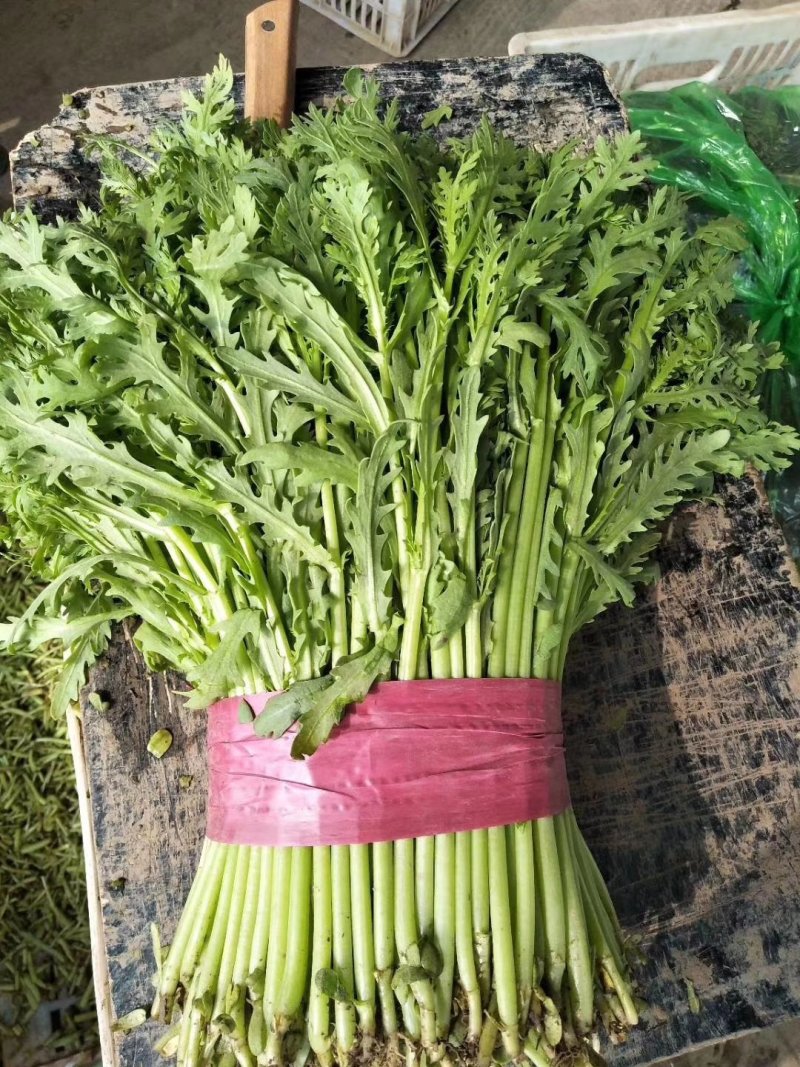 精品茼蒿，一年四季大量供应，以及各种精品叶菜，需要联系我