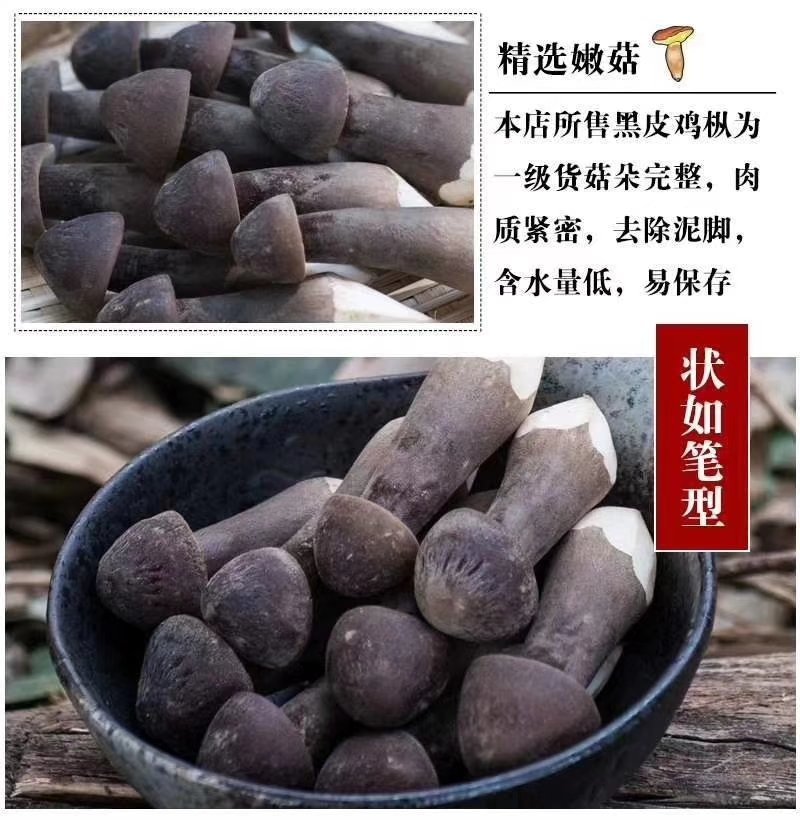 黑皮鸡枞菌（江苏山东河南福建湖南广东贵州基地，全国发货）