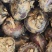 马蹄:大量批发要的联系0.5一斤