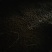 马蹄:大量批发要的联系0.5一斤
