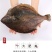 碟鱼整条碟鱼美洲碟鱼