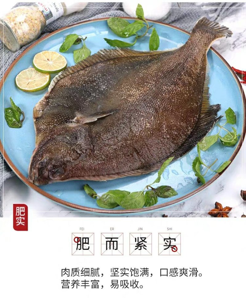 碟鱼整条碟鱼美洲碟鱼