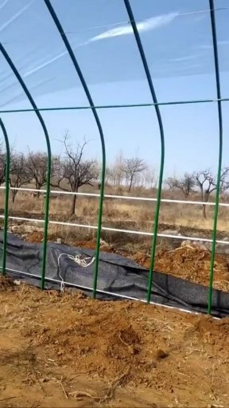 大棚管厂家直销尺寸可定制防锈钢管钢架质量保证