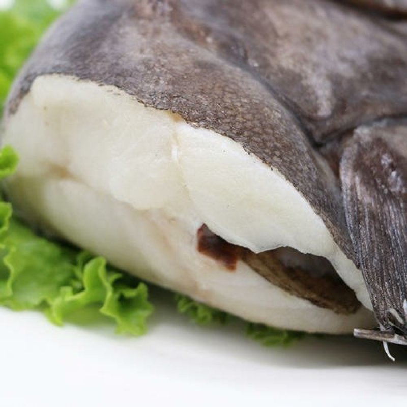碟鱼头鸦片鱼头比目鱼头