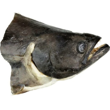 碟鱼头鸦片鱼头比目鱼头