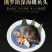 碟鱼头鸦片鱼头比目鱼头