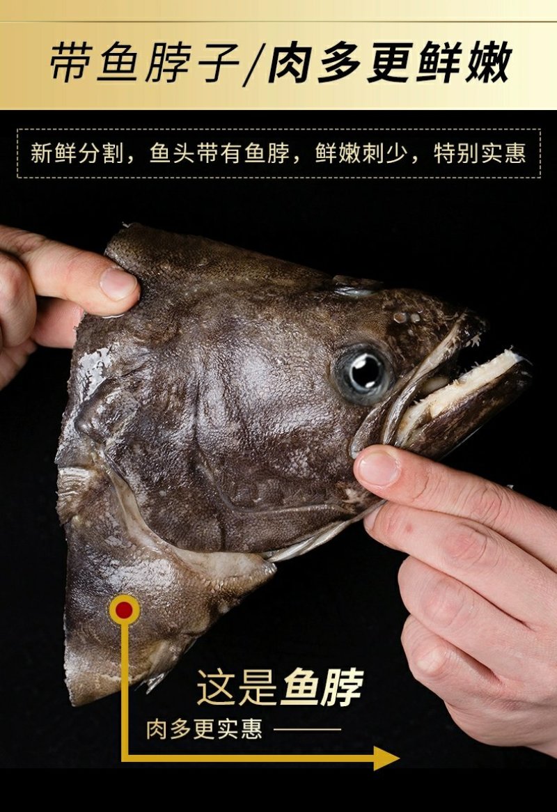 碟鱼头鸦片鱼头比目鱼头