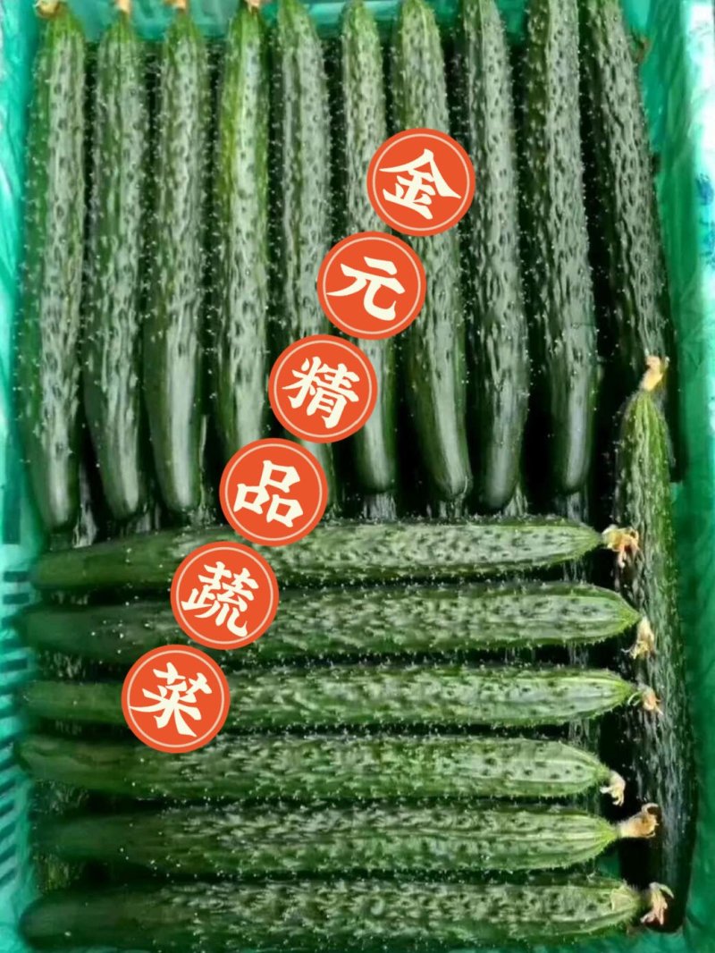 亮条，密刺黄瓜，瓜条直，青皮绿肉，产地直发。