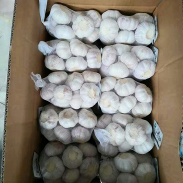 大蒜一件代发尝鲜试吃装偏远地区不包邮